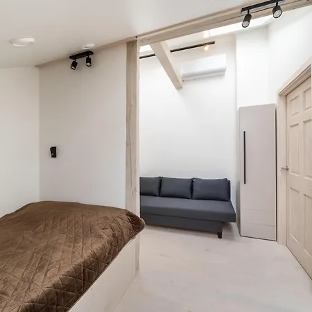 Apartment Scandi Spacious Attic Loft With Skyline View Riga