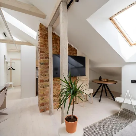 Scandi Spacious Attic Loft With Skyline View Apartment Riga