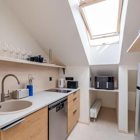 Apartment Scandi Spacious Attic Loft With Skyline View Riga
