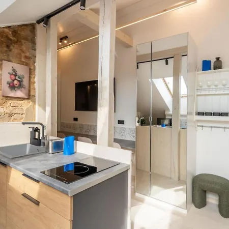 Scandi Spacious Attic Loft With Skyline View Riga